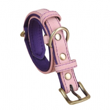 HN24-YDPC507-2 PU leather dog collar in light  pink with purple neoprene lining (2)