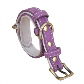 HN24-YDPC507-4 PU leather dog collar in purple with white neoprene lining (2)