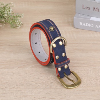 HN24-YDPC303-2 suede leather dog collar with stud deco