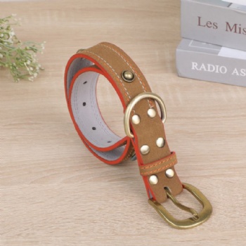 HN24-YDPC303-3 suede leather dog collar with stud deco