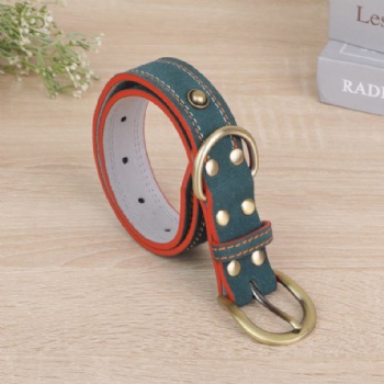 HN24-YDPC303-4 suede leather dog collar with stud deco