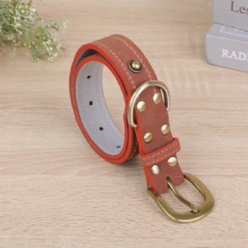 HN24-YDPC303-7 embroidered leather dog collar